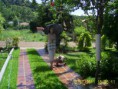 /album/galeria-de-fotos/a2011%2001%2015%20m%c3%a3e%20ignez-jpg/